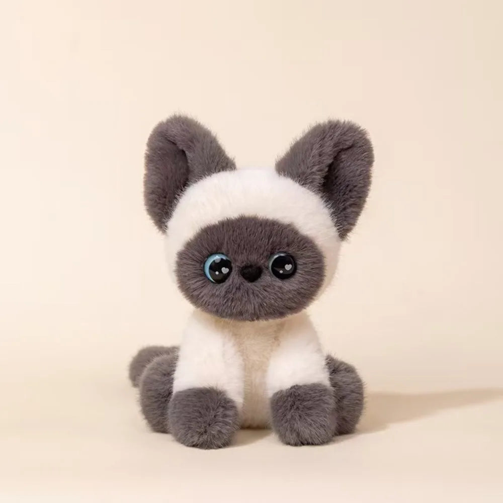 Stuffed Animal Siamese Cat Plush Cute Sitting Desktop Ornament Stuffed Devon Rex Kitten Doll Cartoon Cat Plush Doll Kids Toy